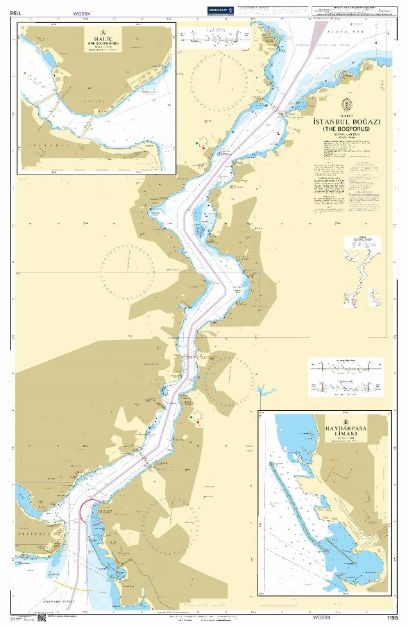 BA 1198 - Istanbul Bogazi (The Bosporus)